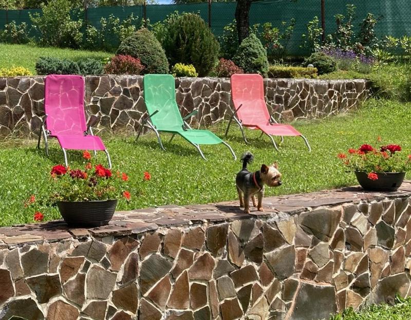 Vila Marko Nová Lesná Екстериор снимка